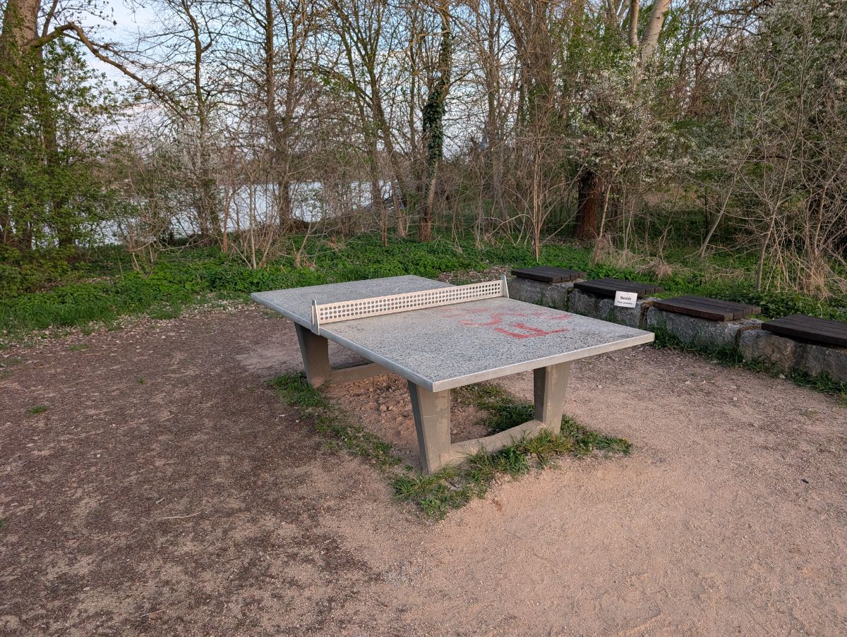 Tischtennis am Rheinufer