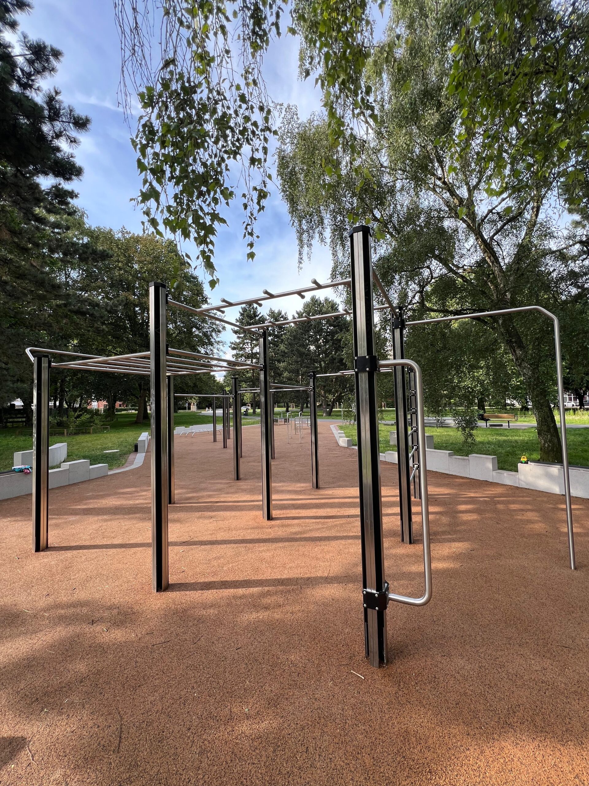 Calisthenics Walter Moeller Park