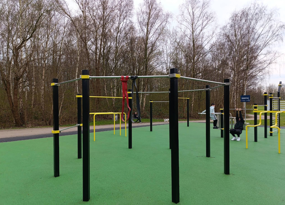 Calisthenics Tremoniapark